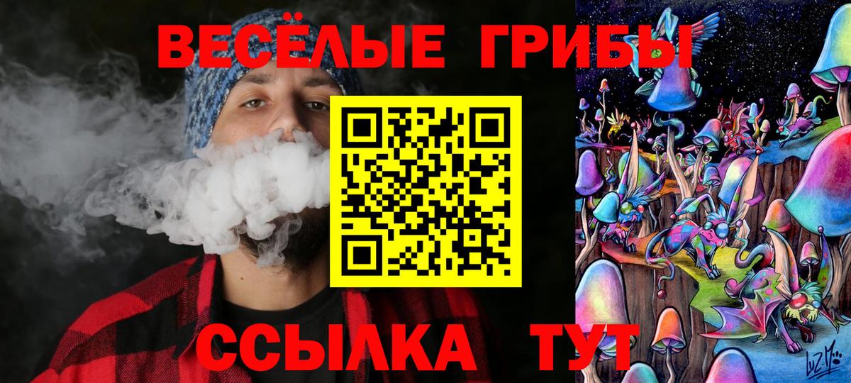 Псилоцибиновые грибы Cubensis Феодосия